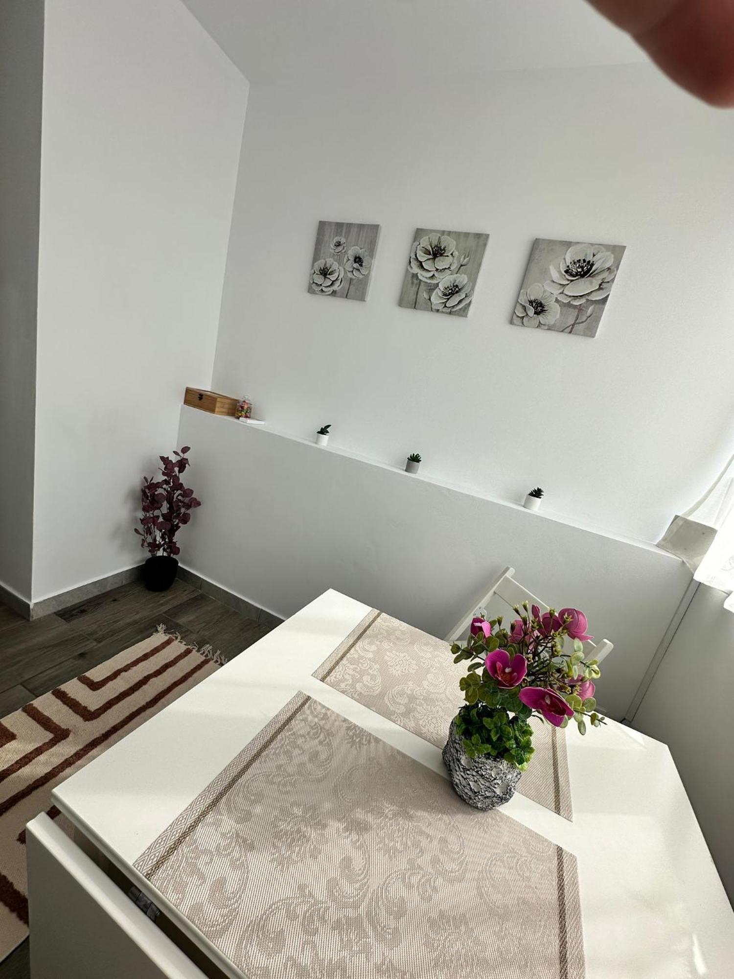 Light Victoriei Apartment *
